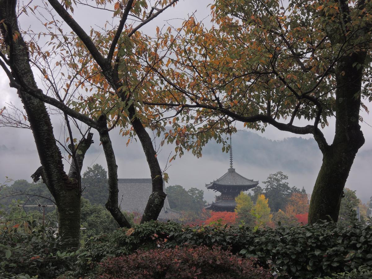 Ryokan Inn Yoshida-Sanso Kyoto Bagian luar foto