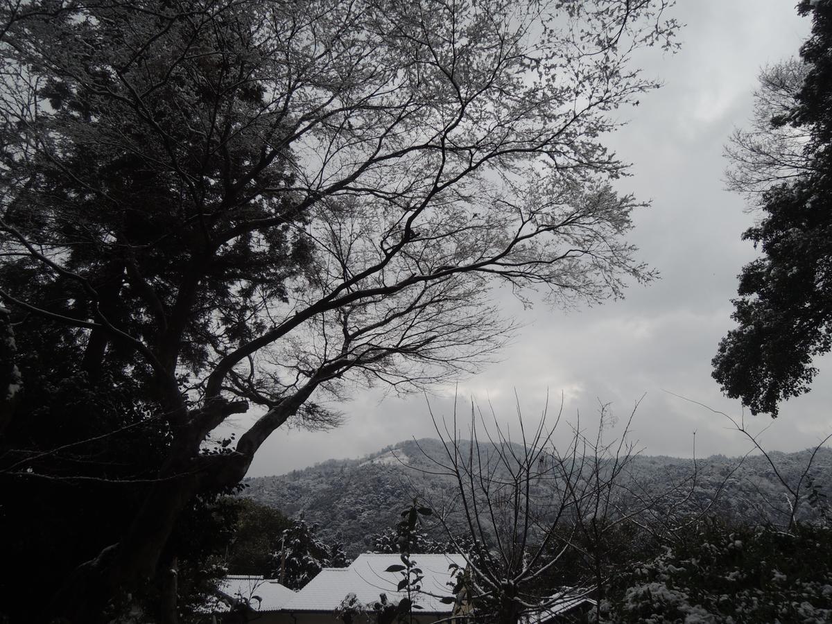 Ryokan Inn Yoshida-Sanso Kyoto Bagian luar foto